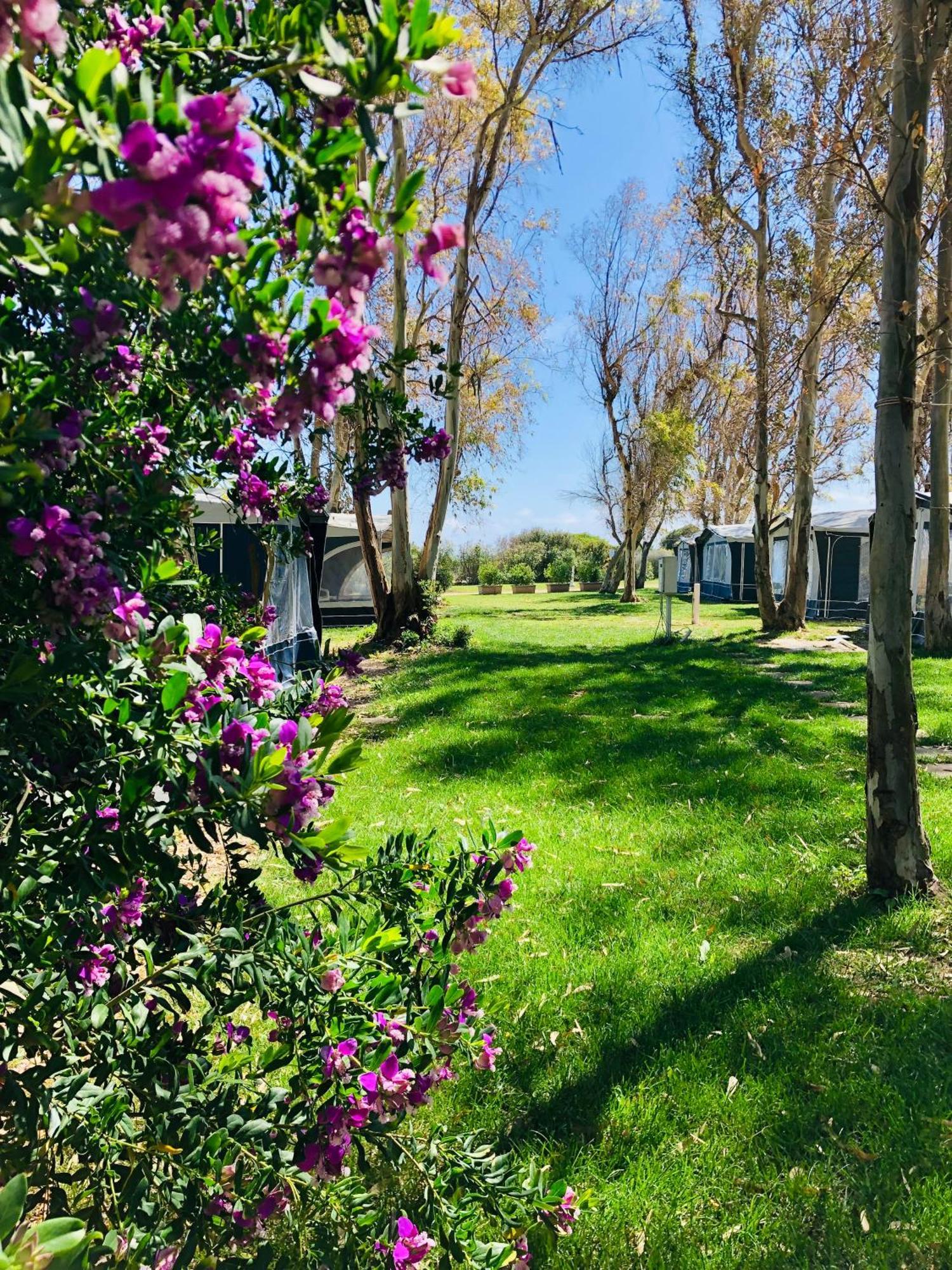 Camping Cala D'Ostia Pula Bagian luar foto