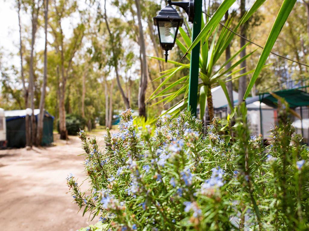 Camping Cala D'Ostia Pula Bagian luar foto