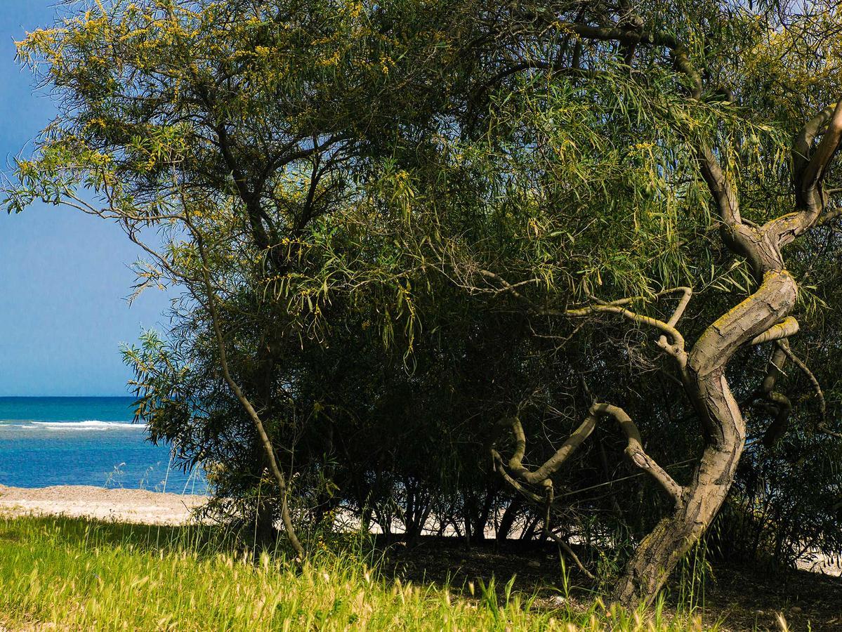 Camping Cala D'Ostia Pula Bagian luar foto