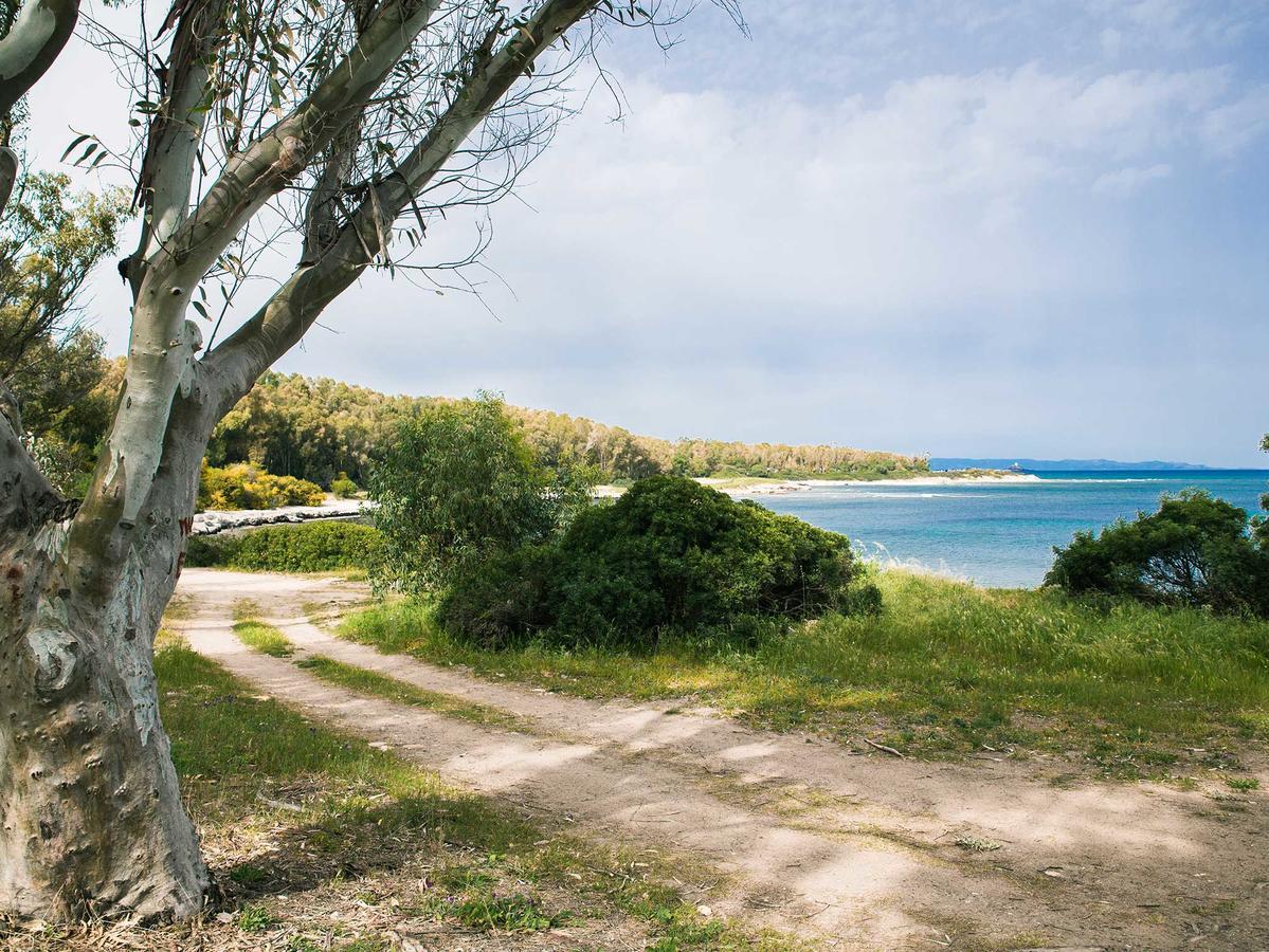 Camping Cala D'Ostia Pula Bagian luar foto